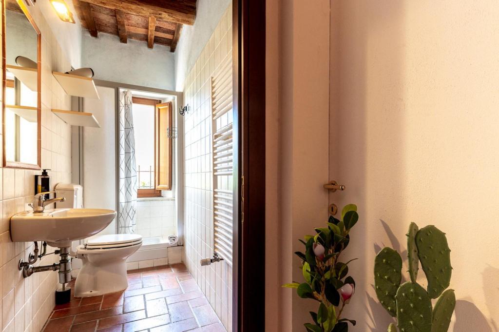 Massa Alta B&B E Appartamenti Massa Marittima Eksteriør bilde