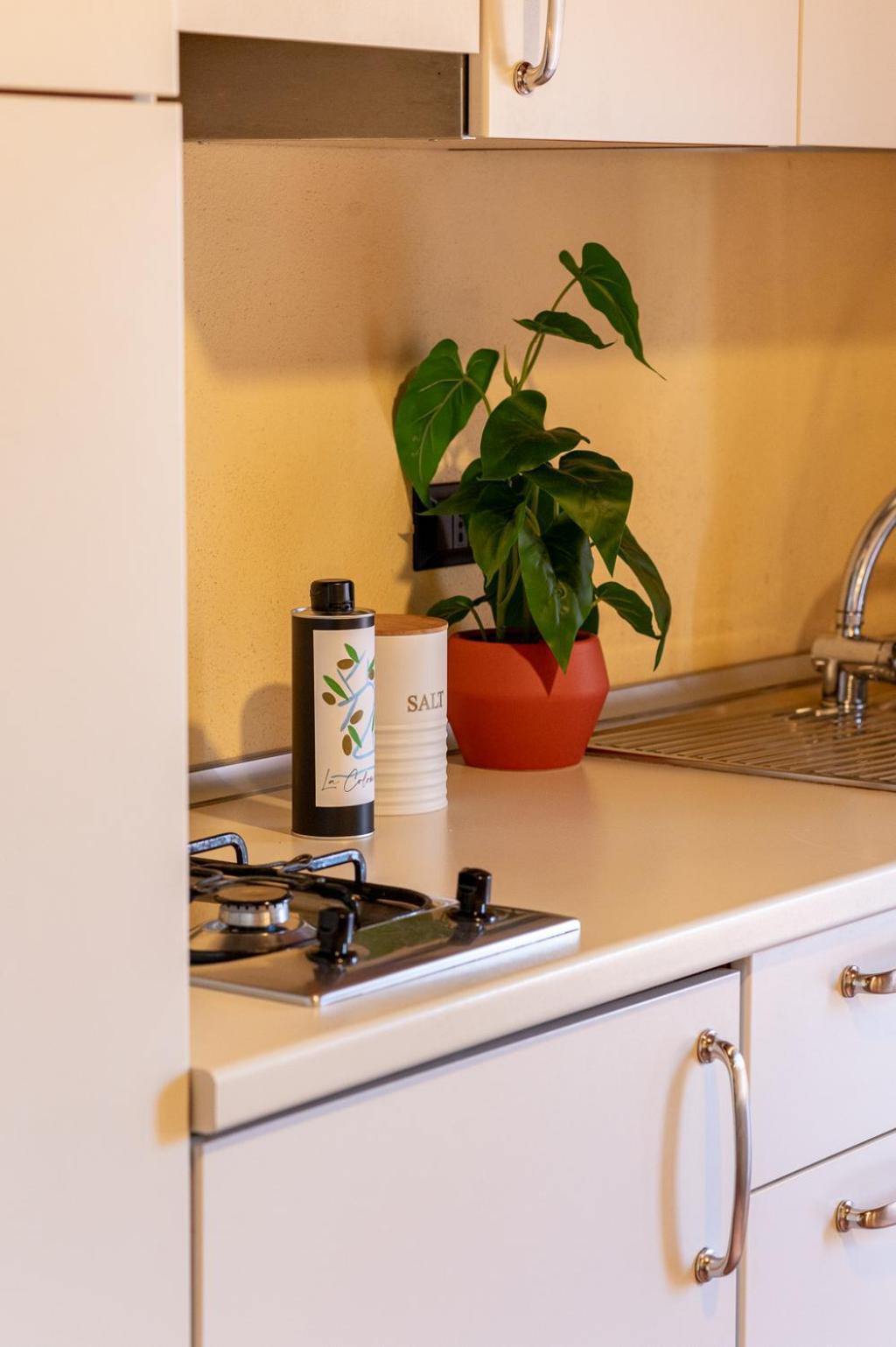 Massa Alta B&B E Appartamenti Massa Marittima Eksteriør bilde